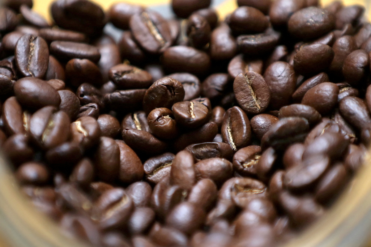 Featured image for Coffee's Lifespan Boost: What You Need to Know