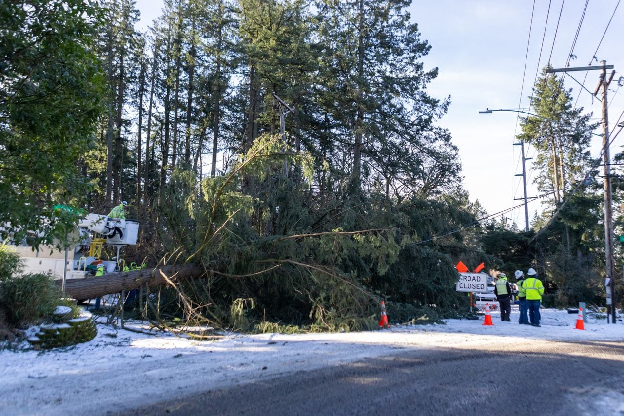 "Portland Braces for Tuesday Ice Storm: Prepare to Stay Indoors"