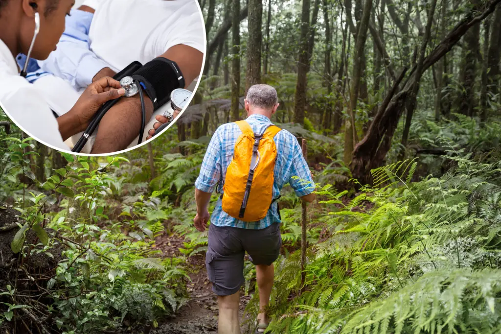 US Faces Decline in Life Expectancy and Health Rankings by 2050