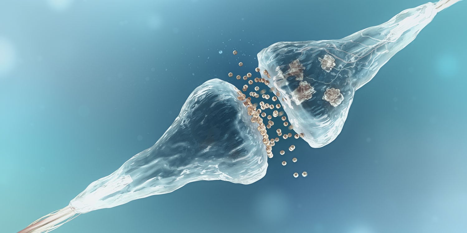 Featured image for "Xanax Exposure in Adolescence Heightens Brain Sensitivity to Opioids"