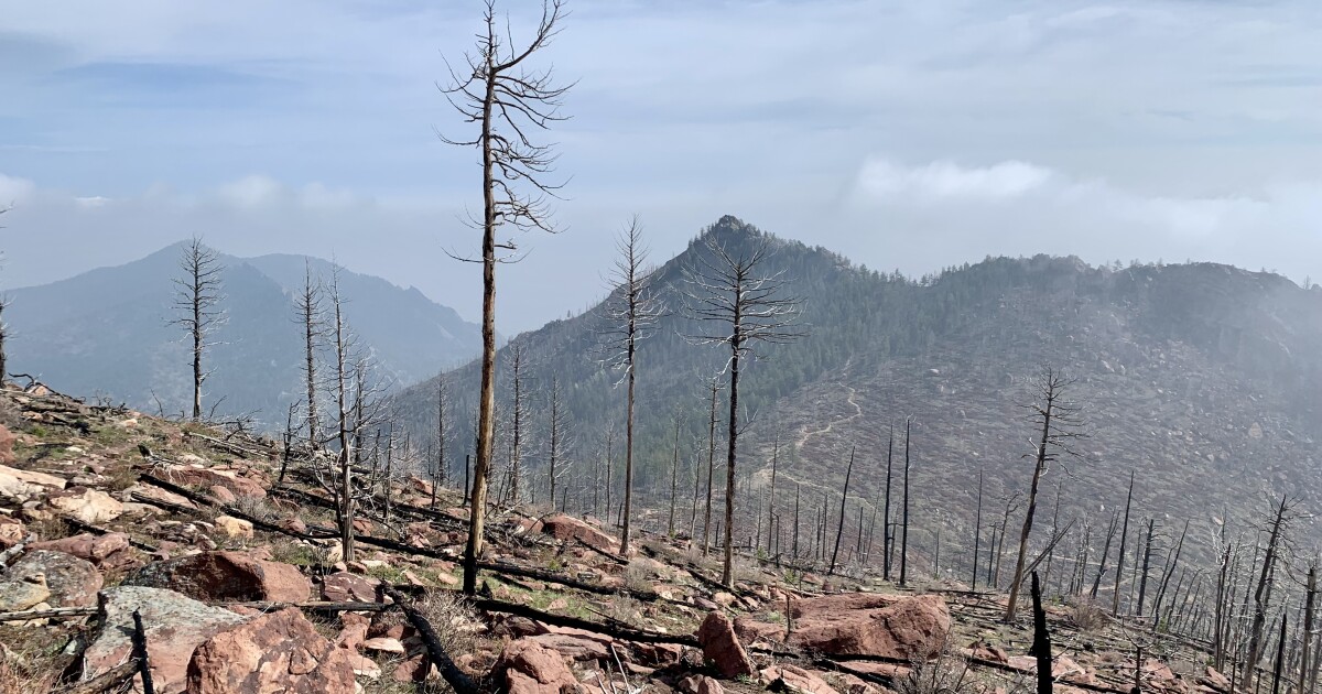 "Colorado's Hazy Skies: When Will Smoke from Canadian Wildfires Clear?"