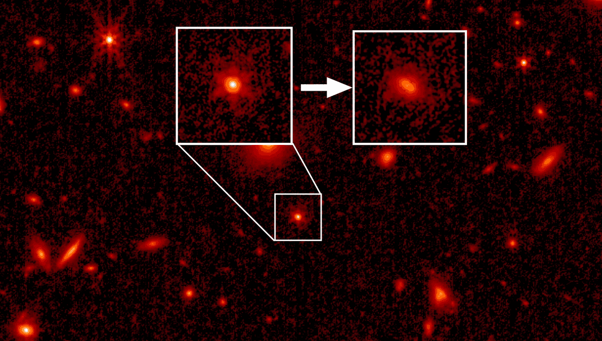 Unveiling Ancient Quasars: Starlight and Host Galaxies Discovered
