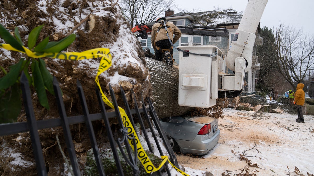 Featured image for "Deadly Consequences: Power Line Falls on Car During Oregon Ice Storm, Killing 3 and Injuring Baby"