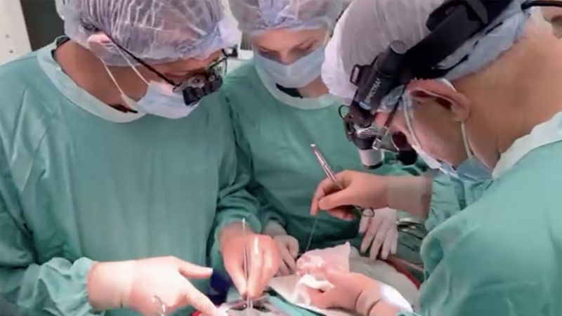 Featured image for Ukrainian Doctor Performs Life-Saving Heart Transplant Amid Russian Attacks