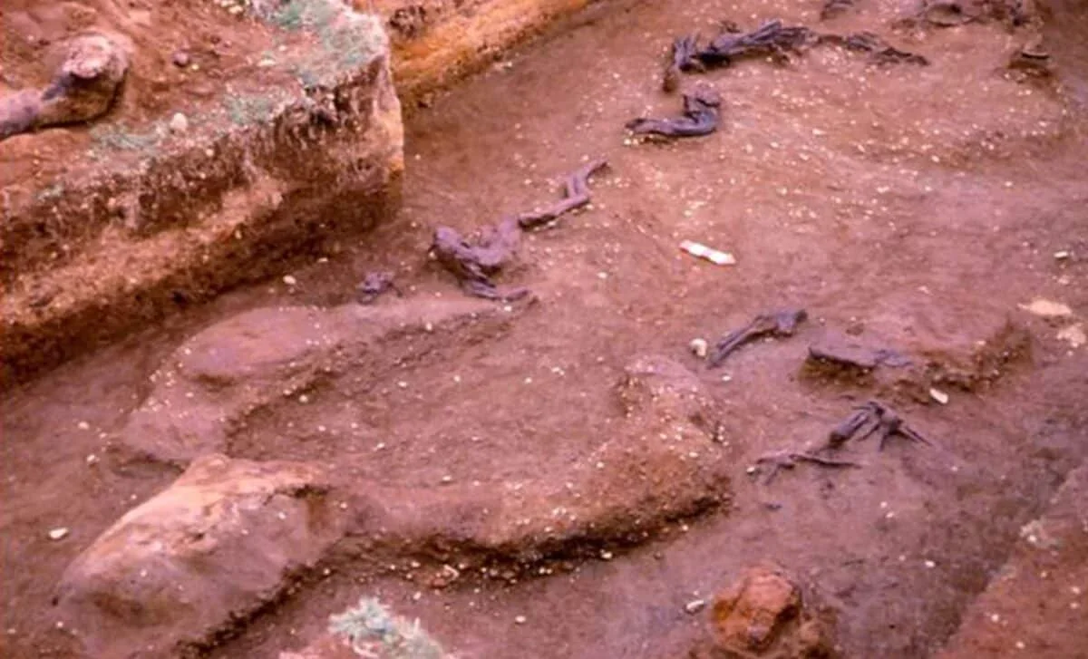 Monte Verde’s Age Rewritten, Reshaping the First Americans’ Arrival