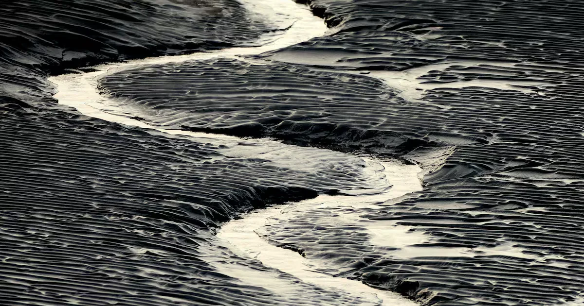 Illinois Man Drowns After Getting Stuck in Alaska Mud Flats.