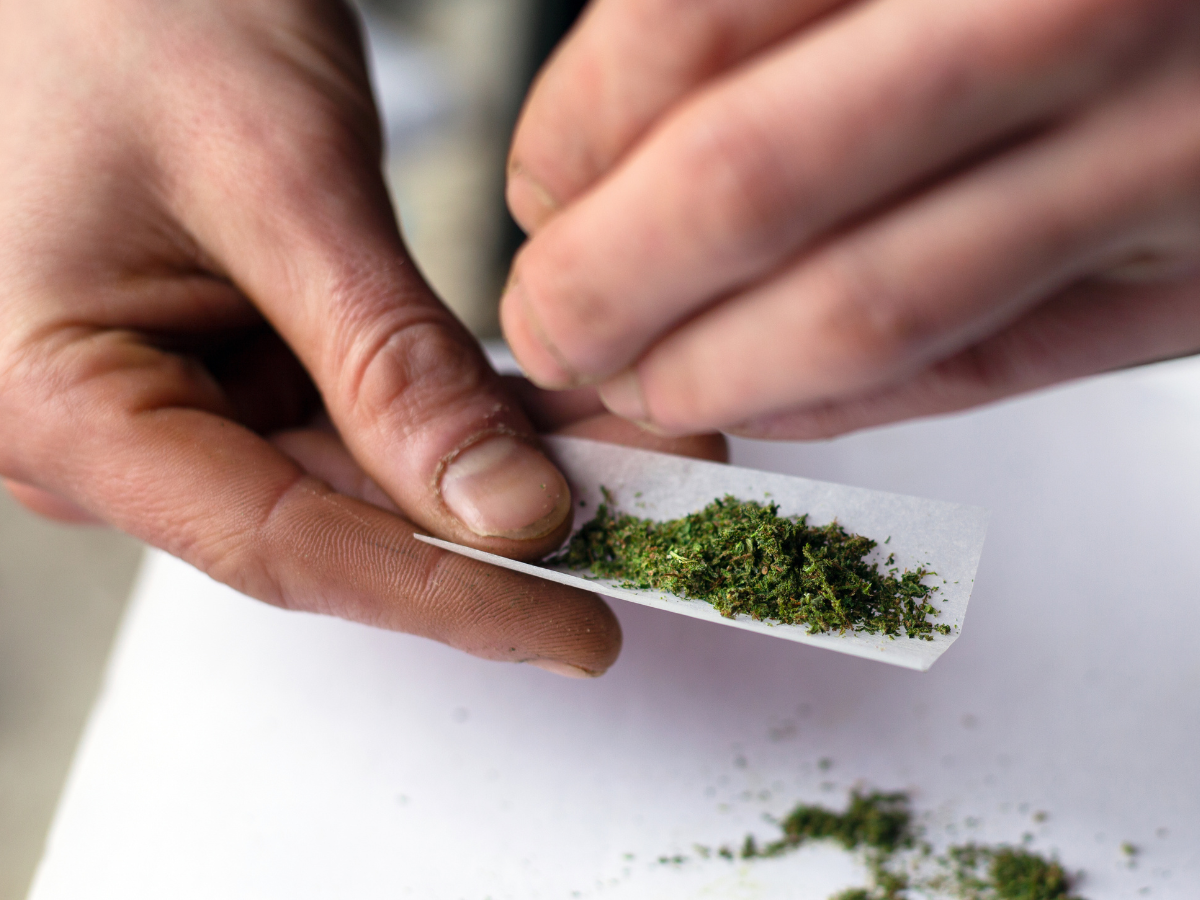 Unveiling the Health Hazards of Cannabis Use