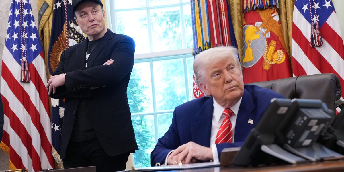 Elon Musk's distancing from Trump and the DOGE analogy in political context