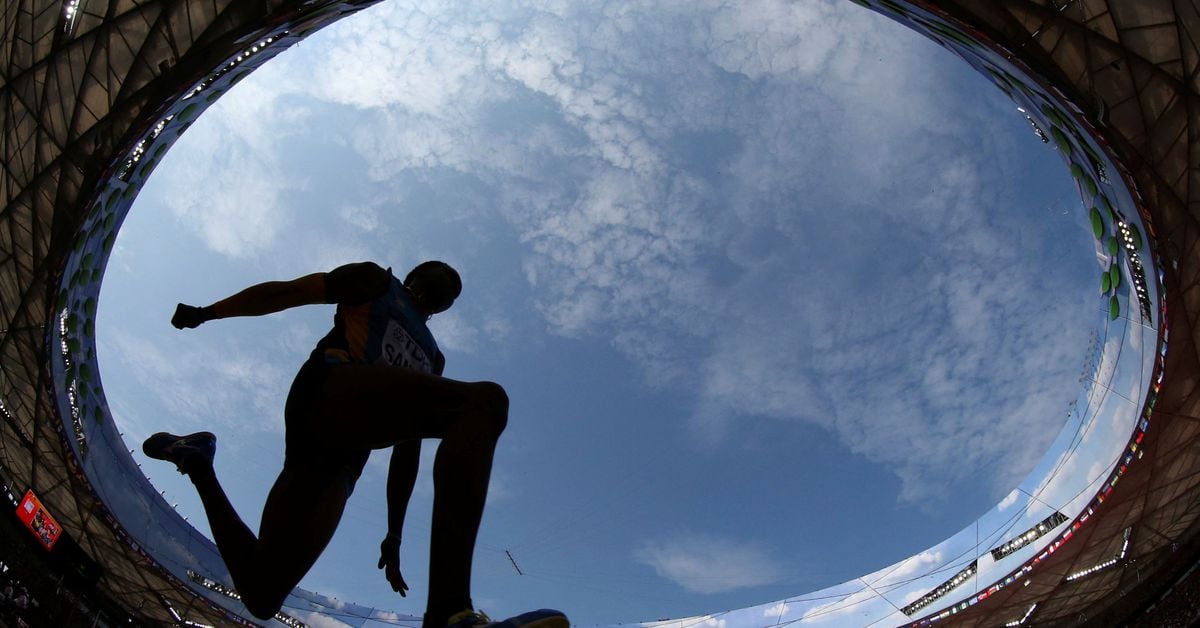 Featured image for Cracking the Code: The Full Sequence of the Human Y Chromosome Unveiled