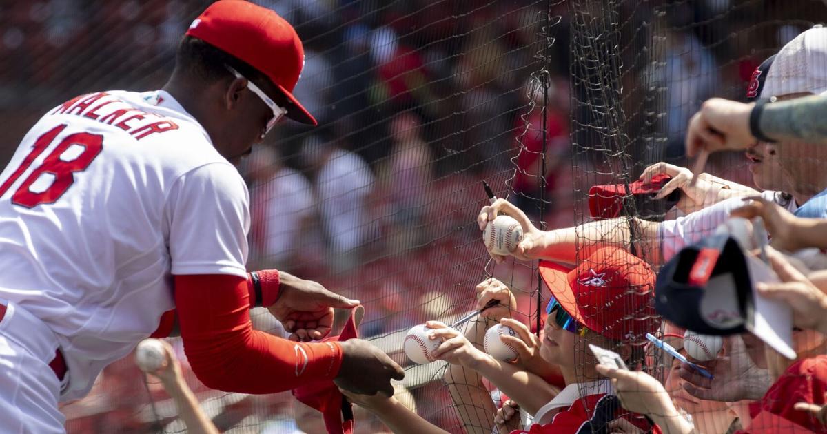 Cardinals demote top prospect Jordan Walker to Triple-A and sign Taylor Motter.