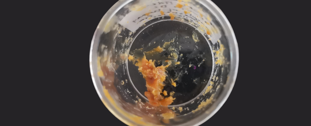 Featured image for Ancient 2,500-Year-Old Honey Identified in Archaeological Finds