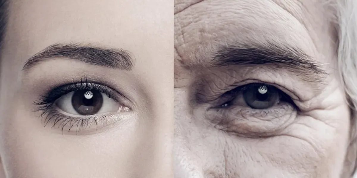Scientists Determine Human Lifespan Limit