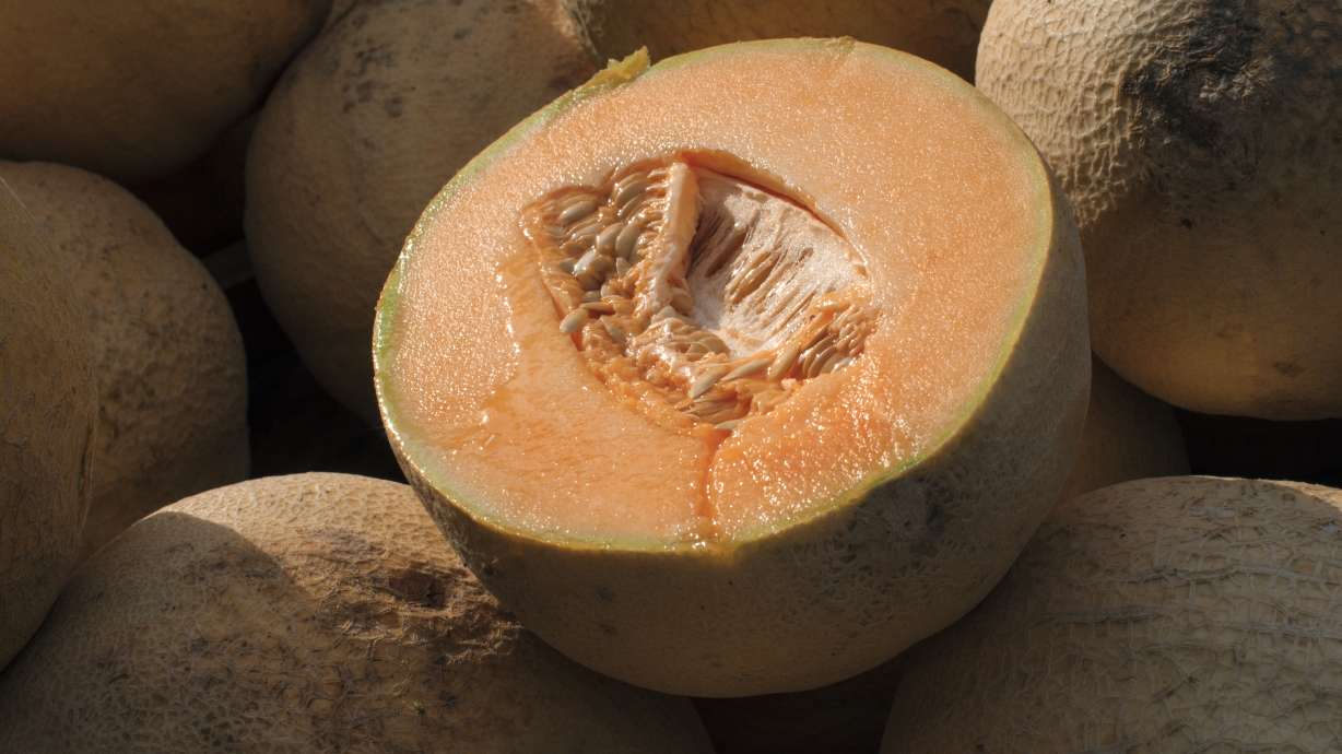 Salmonella Outbreak Linked to Cantaloupe Spreads Across the US
