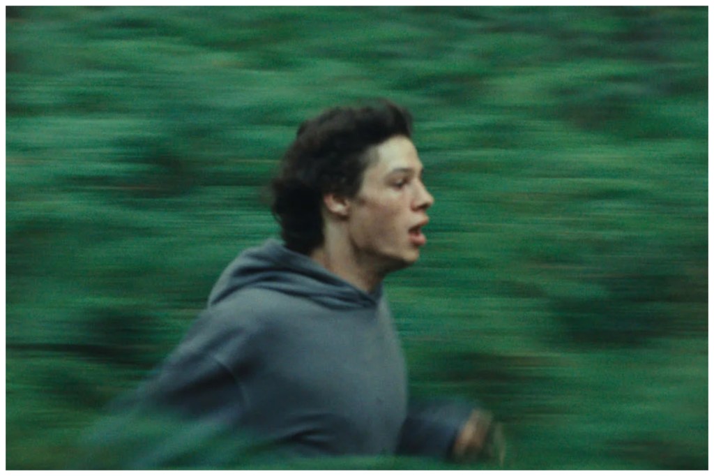 Featured image for "The Animal Kingdom" and "Anatomy of a Fall" Lead Nominations for France's César Awards