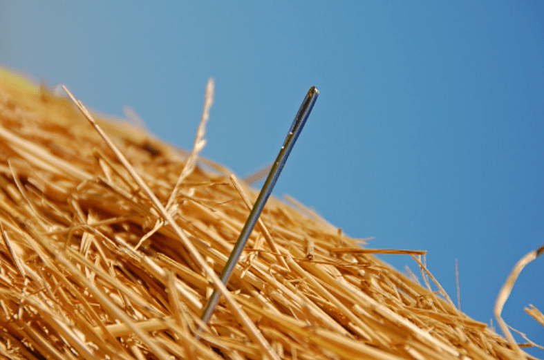 Top-Quality Investment Opportunities Identified by Expert Contributors in Q1