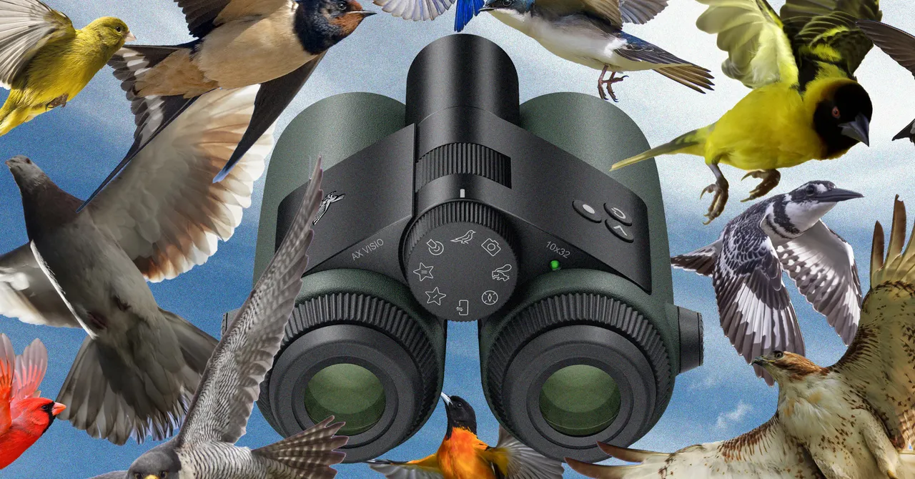 Featured image for Exploring Nature with AI-Enhanced Binoculars