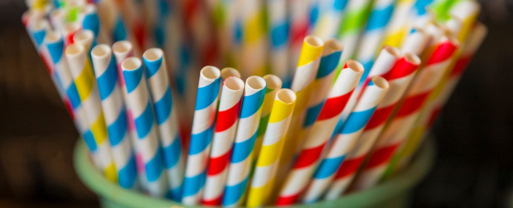 Featured image for The Unintended Consequences of Paper Straws
