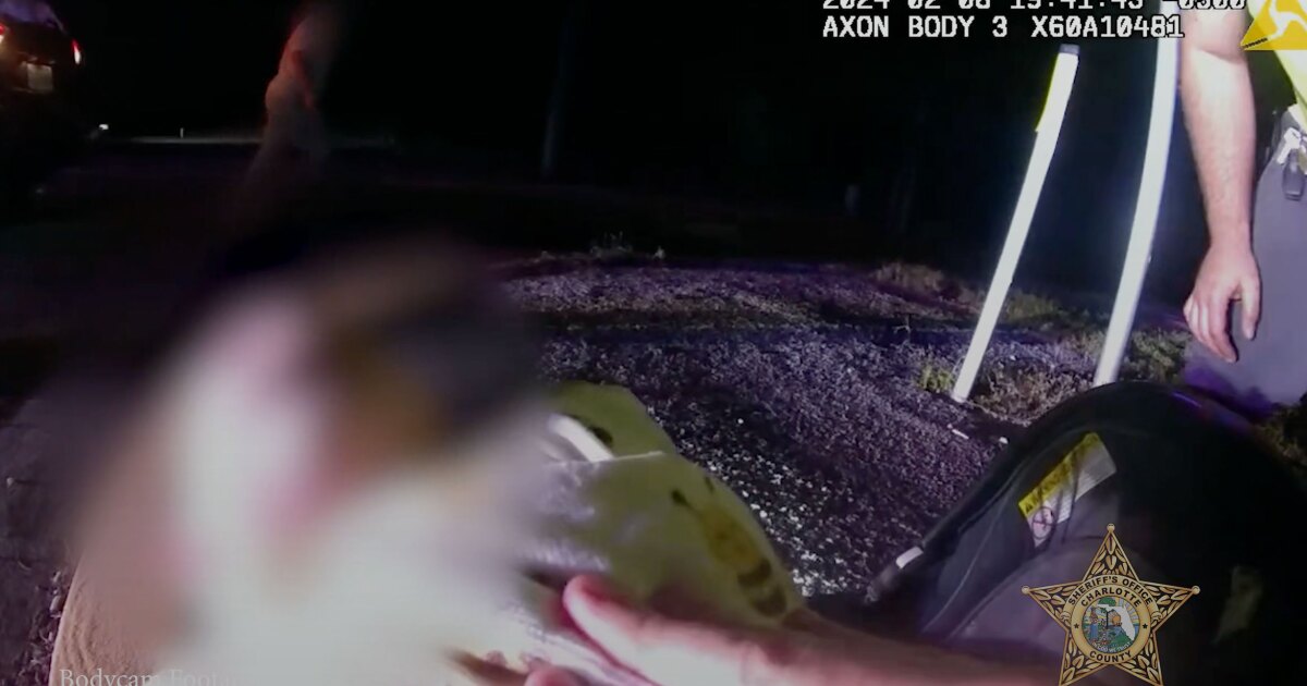 Florida Deputy's Dramatic Rescue of Unconscious Baby Trapped in Car Crash