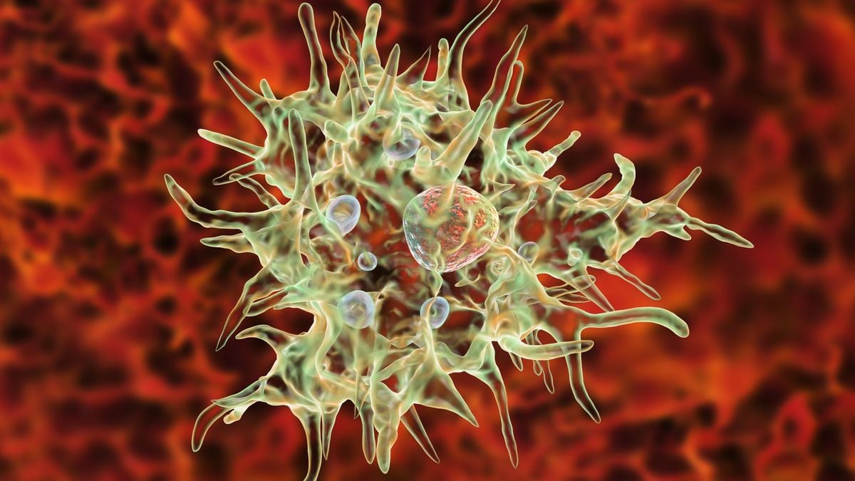 Featured image for "CDC Warns of Deadly Amoeba Risk from Nasal Rinsing"