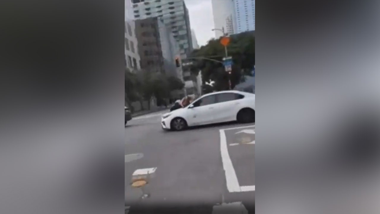 Featured image for Woman Clings to Car Hood After French Bulldog Theft in Downtown L.A.