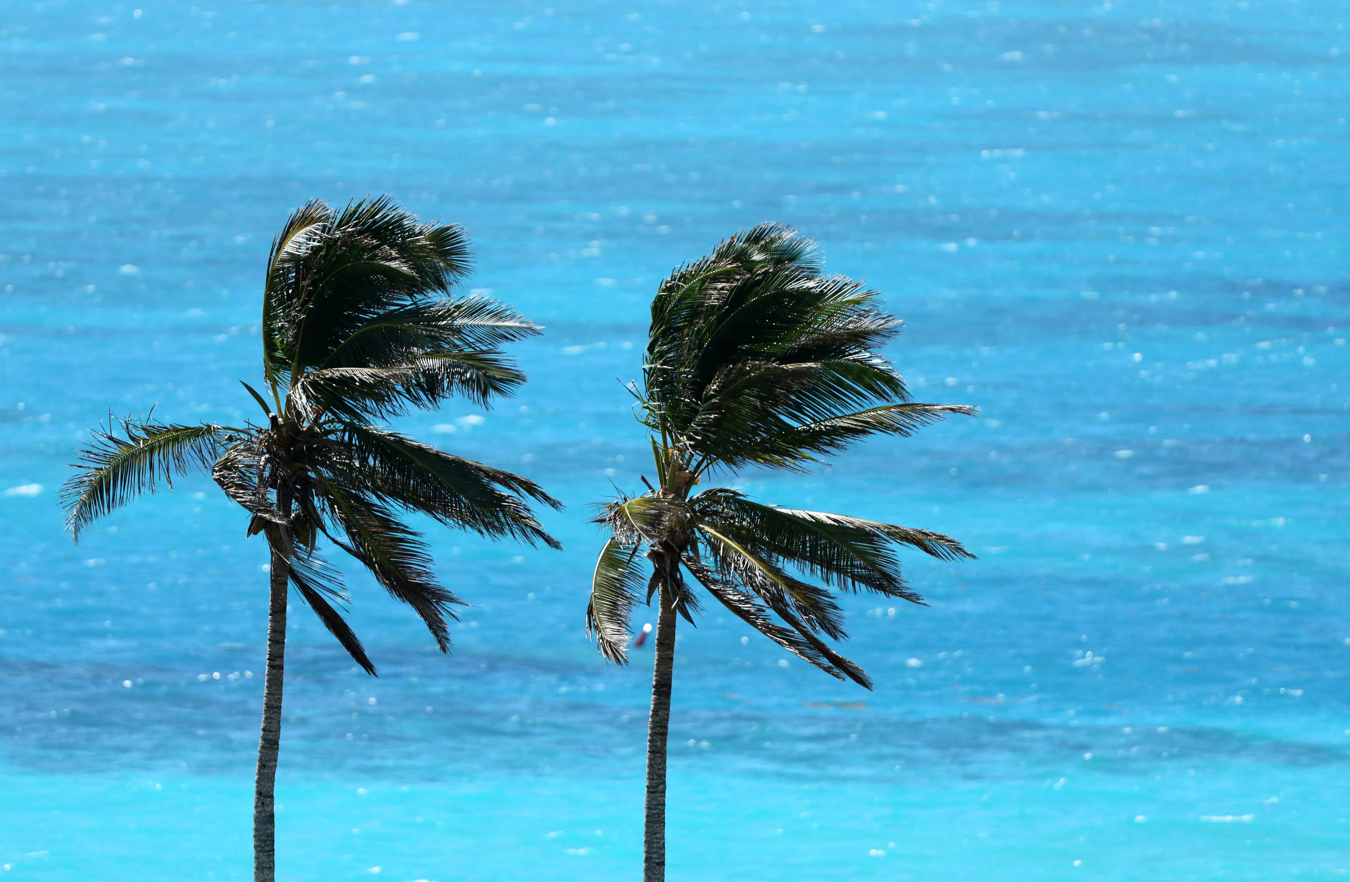 Featured image for Solving the Mystery of the Bermuda Triangle: Scientist's Answer.