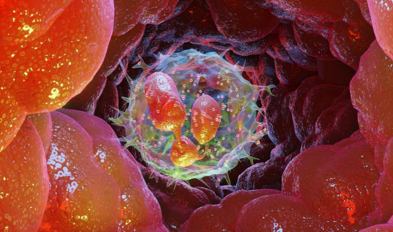 "Study Links COVID to Increased Risk of Autoimmune Diseases for 1 Year"