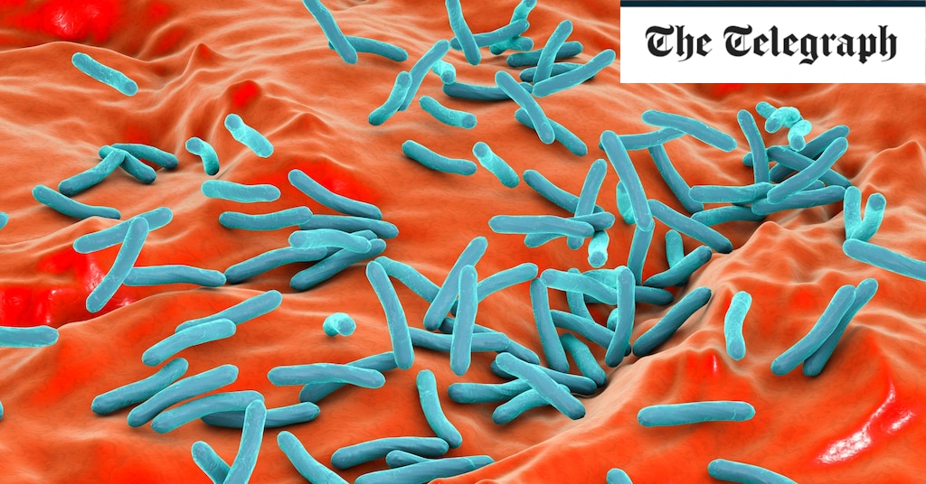 "Rising Concerns: Lab Leaks and Accidents Increase by 50% Amid Fears of Virus and Bacteria Escapes"