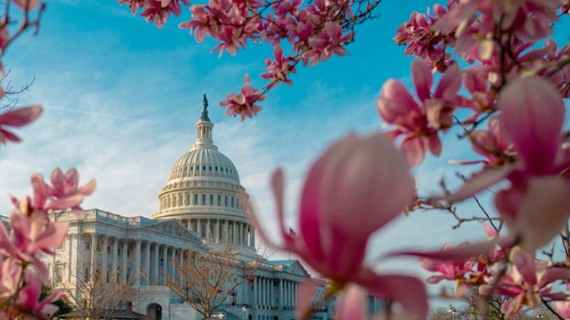 Featured image for Analysis of the Impact and Cost of the G.O.P. and Trump’s 'Big, Beautiful Bill'