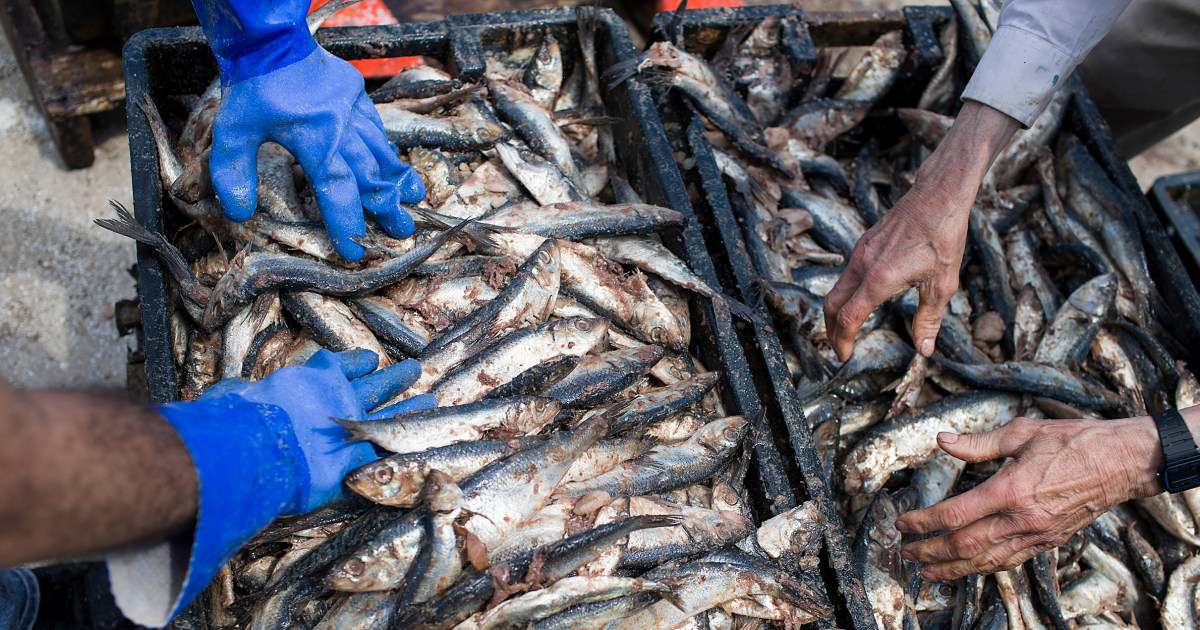 Featured image for Supreme Court to Revisit Limits on Federal Agency Power.