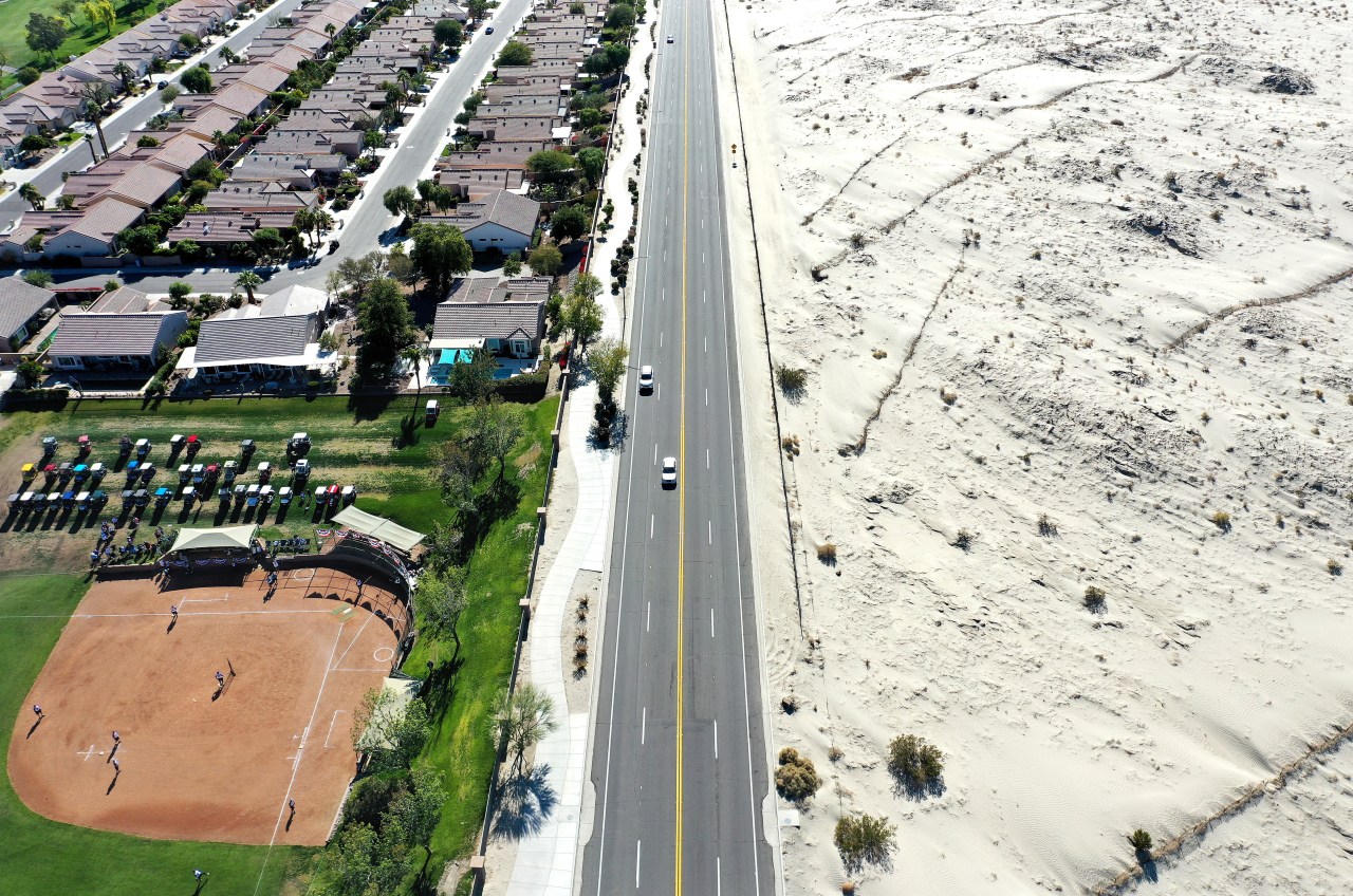 Study finds California's desert trees vulnerable to heat stress.