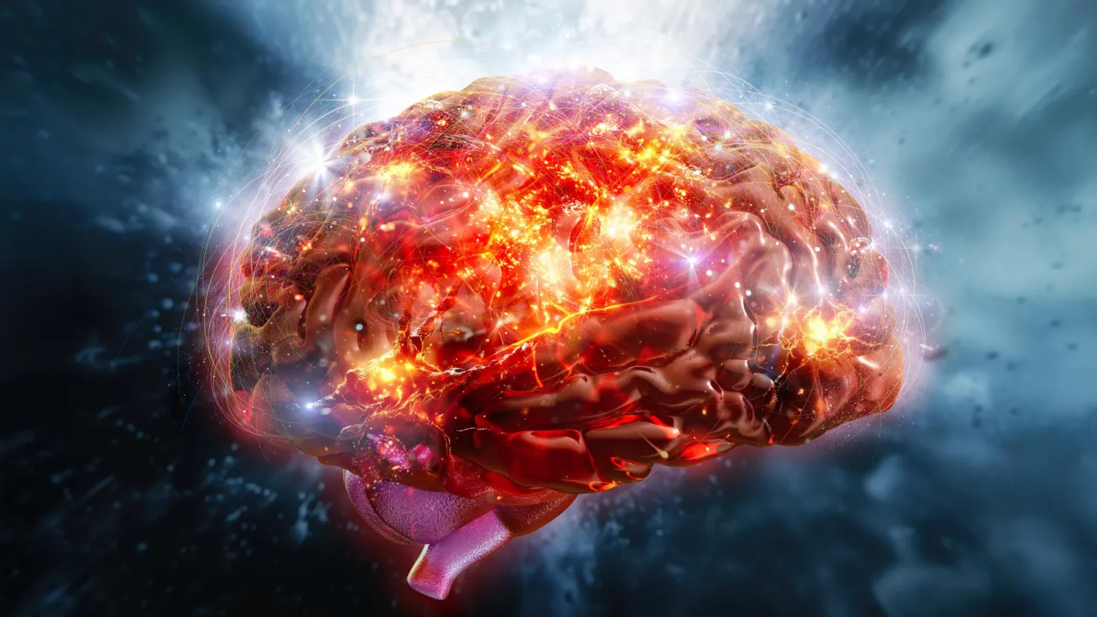 Taste-triggered brain boost: astringent flavanols may wake the mind