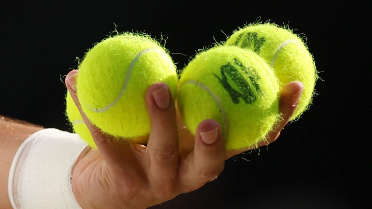 Featured image for "Spectator Medical Emergency Halts US Open Match"