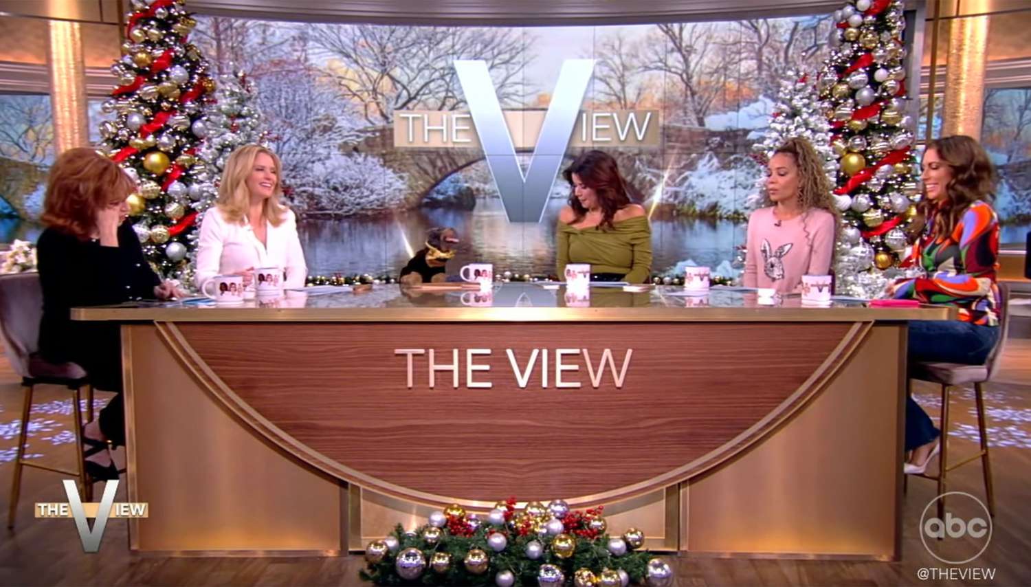 Featured image for Triumph the Insult Comic Dog Roasts 'The View' for Hostility Towards Women and Conservatives