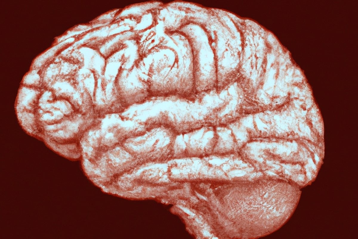 Glaucoma drugs show promise in preventing Alzheimer's cognitive impairment in mice.