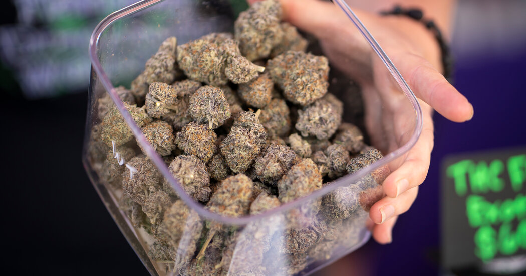 Featured image for Medical Guidelines Warn Against Cannabis Use During Pregnancy Due to Fertility and Safety Concerns