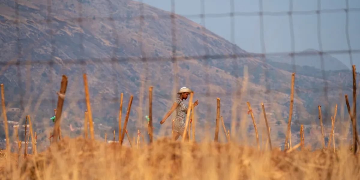 US Expands Deportations to Eswatini Amid Policy Changes