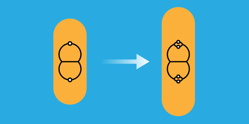 Featured image for Advancements in Chromosome Replication Model Revolutionize Physics