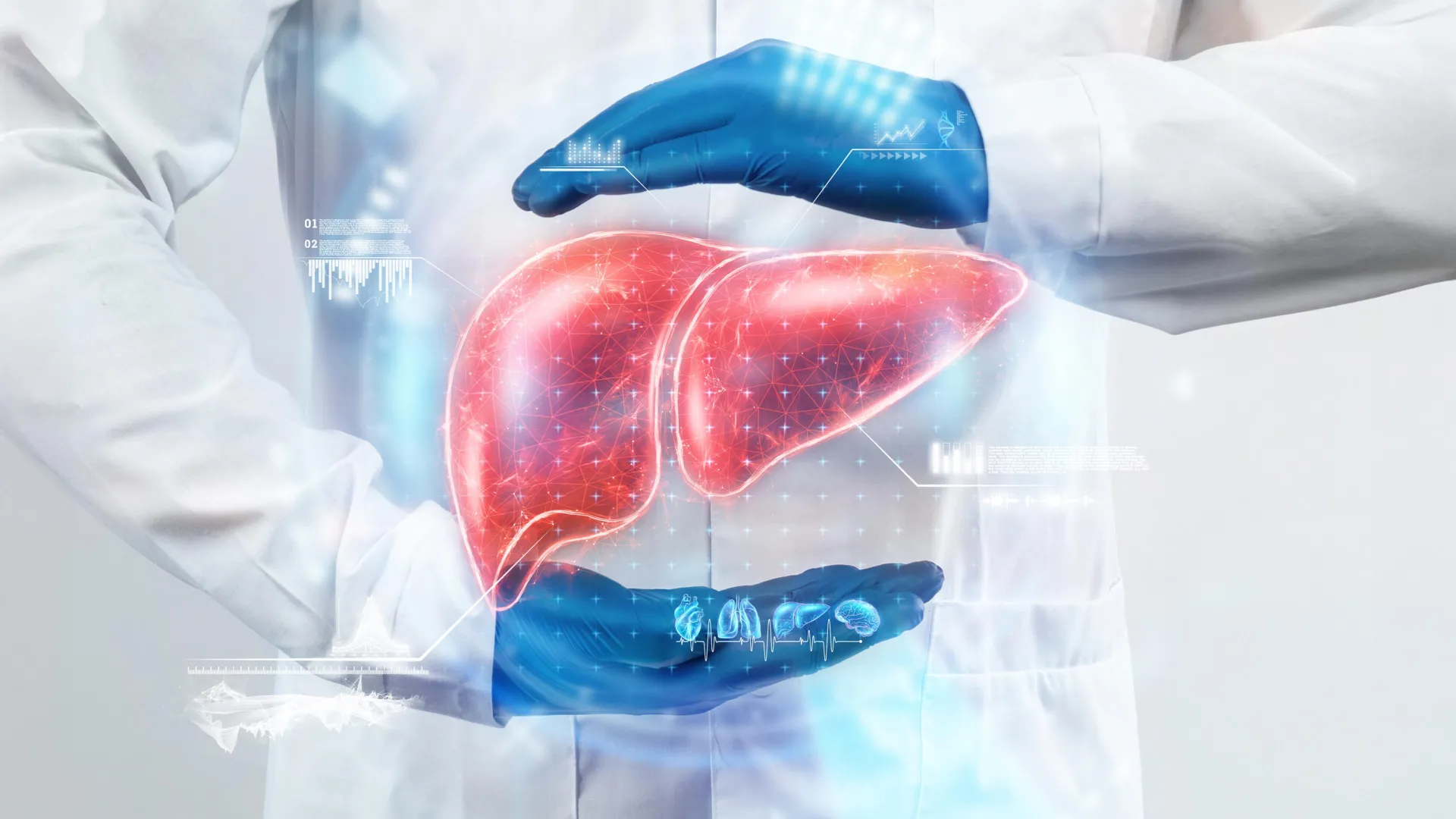Featured image for Affordable Vitamin Offers Hope for Fatty Liver Treatment