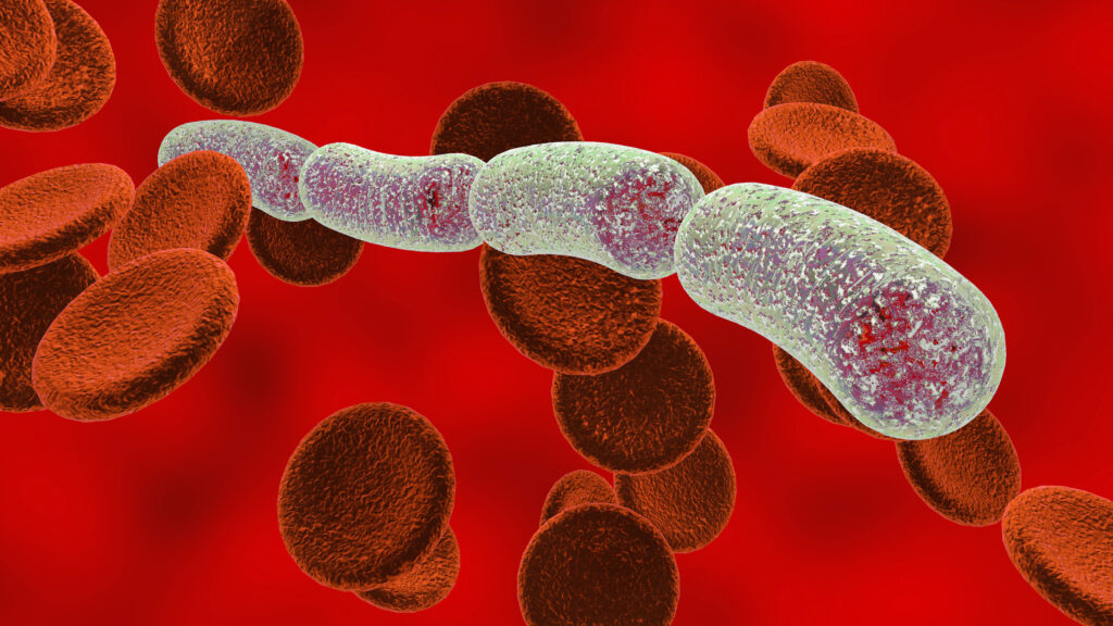 Featured image for Ohio Health System's AI Sepsis Prediction Trial