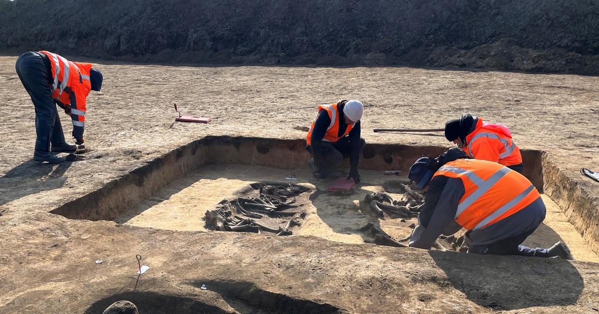 Featured image for "6,000-Year-Old Neolithic Burial Mounds Unearthed at Intel Construction Site in Germany"