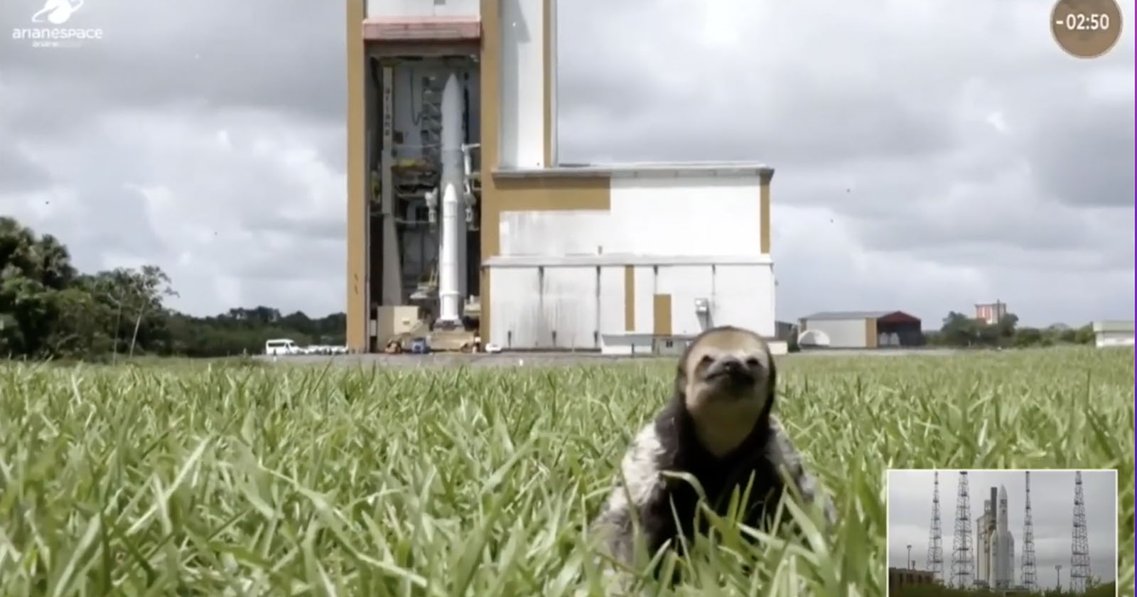 Featured image for Sloth Photobombs Rocket Launch in Adorable Fashion.