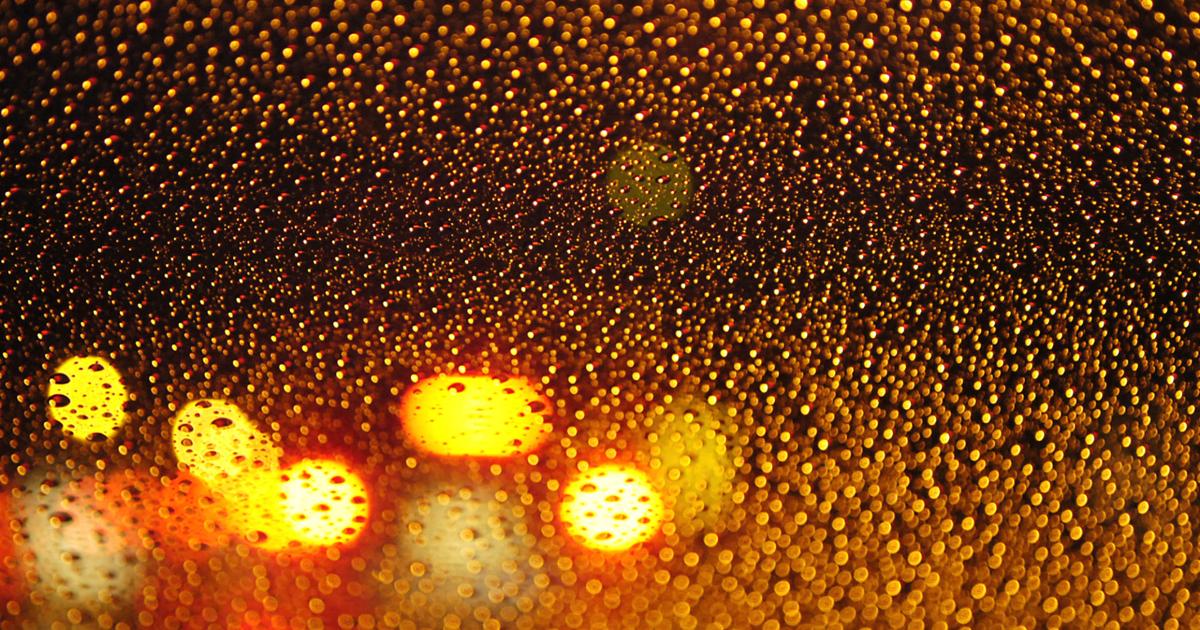 Severe Weather Alert: Flood Watch and Wind Advisory in Northern Virginia and Maryland