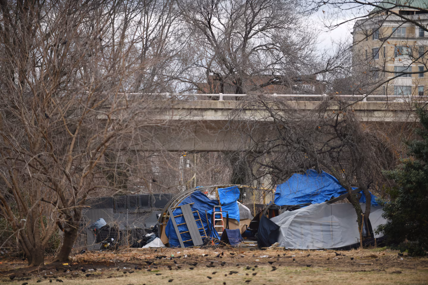 Trump's Executive Order Targets Homelessness and Street Crime