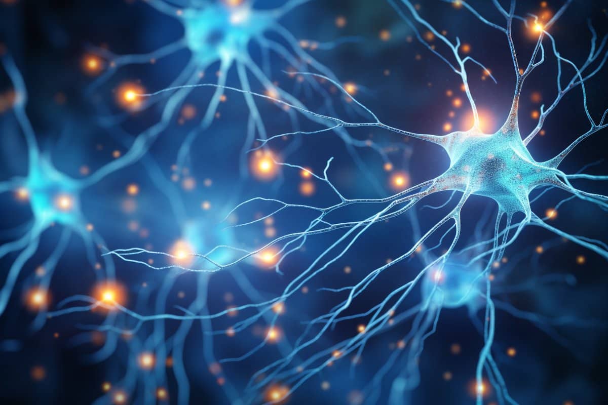 "St. Jude's 2024 Breakthrough: Elusive Cytonemes Visualized as Cellular Messengers in Neural Growth"