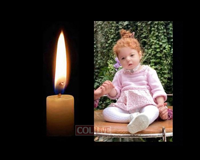 Remembering Sarah Tzivia Niselevich: A Life Cut Short at 3.