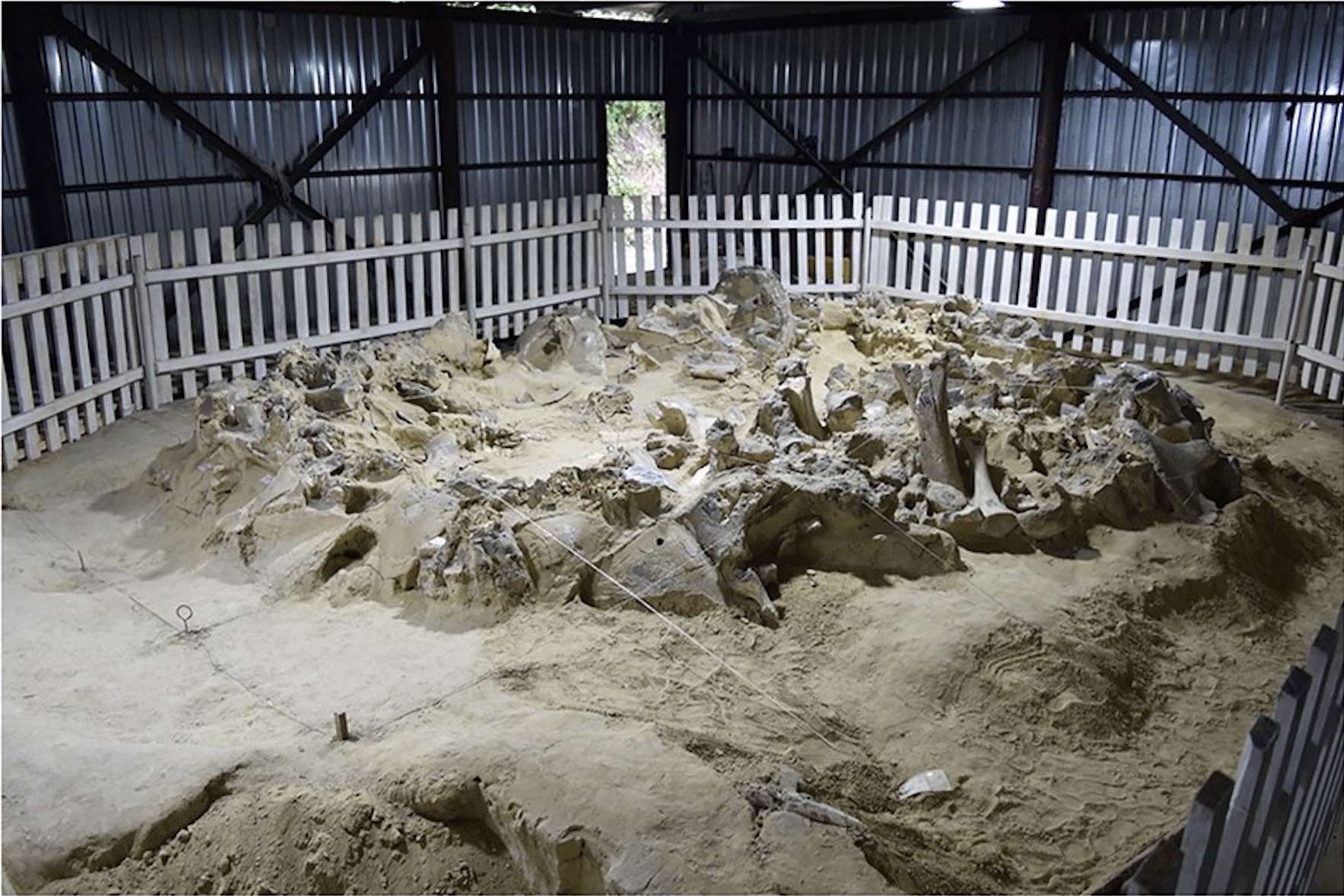 Featured image for Ancient Humans Built 18,000-Year-Old Mammoth Bone Shelters in Ukraine