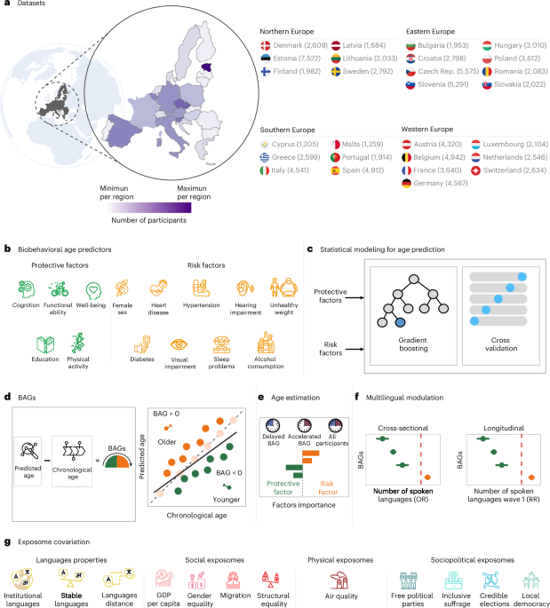 Featured image for Multilingualism May Help Delay Aging, Study Finds