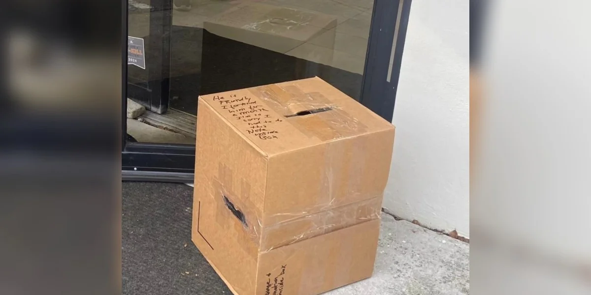 Rescuers Find Box with Note and Person Inside on Their Doorstep