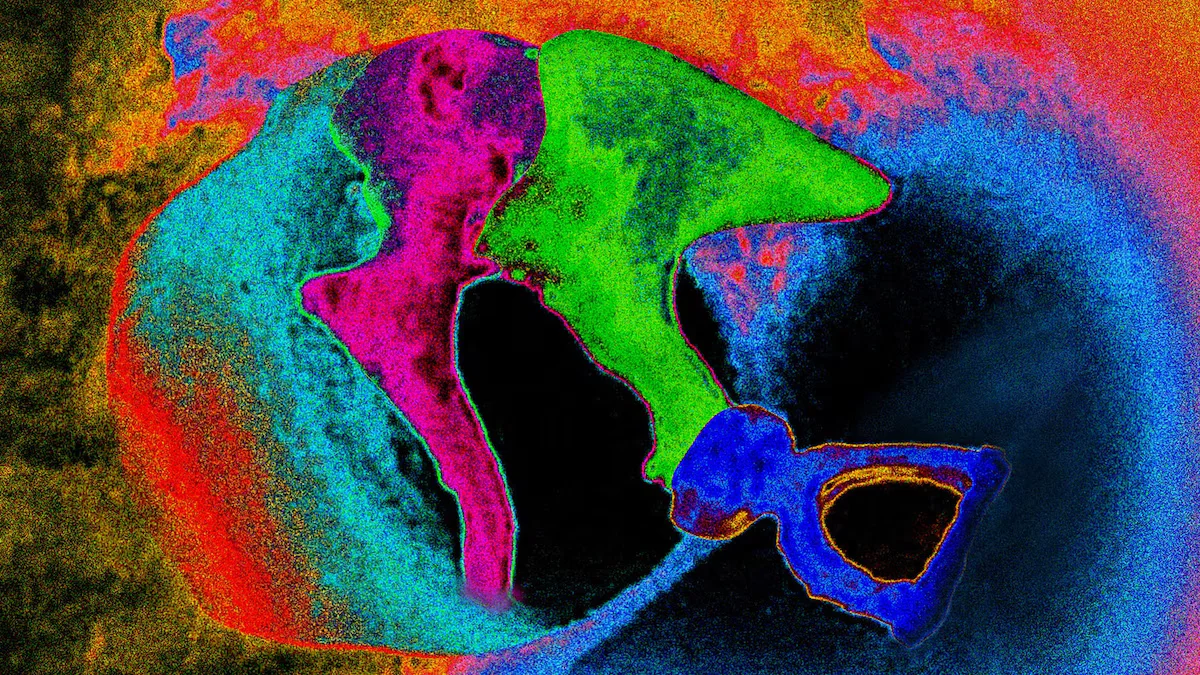 The Silent Threat: Noise Pollution's Hidden Dangers