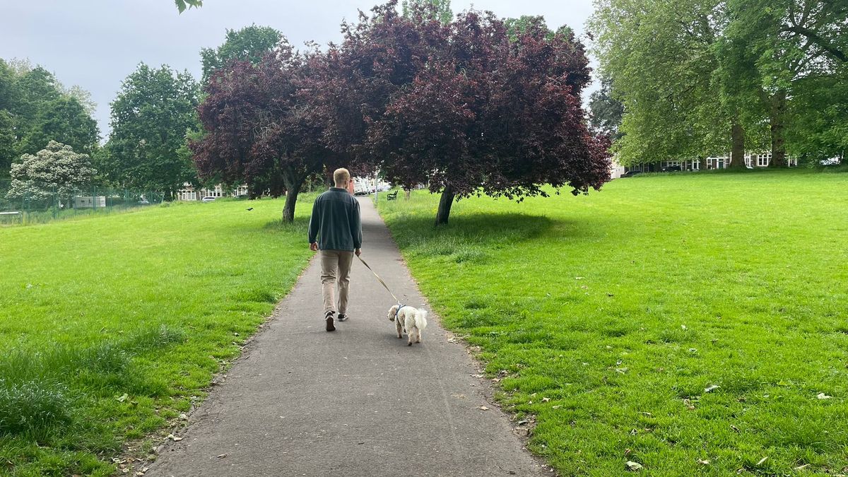 "Debunking the 10,000 Steps Myth: Real Benefits and Misconceptions"